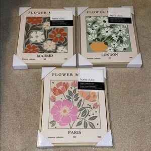 🌷Floral Canvas 3 Piece Art Set
 Madrid, London, Paris🌷
Brand new and sealed